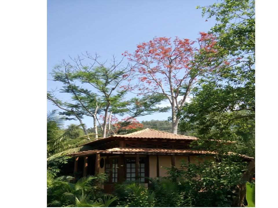 Paraty Villa D'Água Temporada Exterior foto